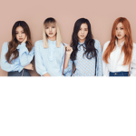 BLACKPINK Fan Group ~ Flower