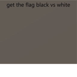 Get The Flag Black Vs White
