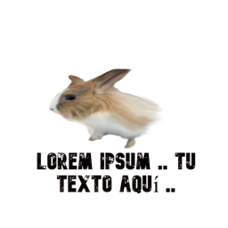 toat world