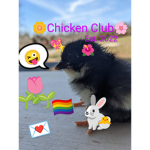 -•Chicken Club•-