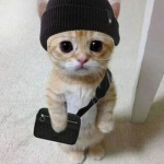 Honeybun is clothing group