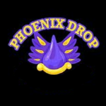 Phoenix Drop's Group