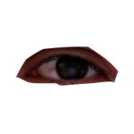 Bodies of Soul