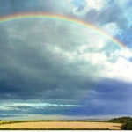 Rainbow riders.