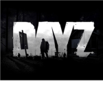 Day Z