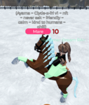 Summer Dream Riding Academy