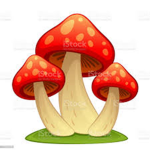 The famous mushrooms