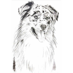 Die coolen Hunde,Wölfe