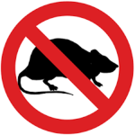 The Pest Control