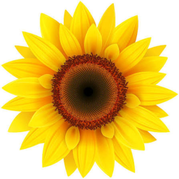 FriendlyFlowers