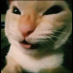 CatMario style