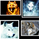 Wolf Elements