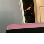 Isobel_loves_roblox