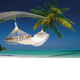 ISLAND CHAT