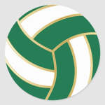 !Volleyball nation!