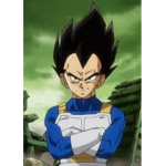 Vegeta crew