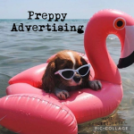 ._..preppy.advertising.._.