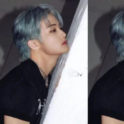 ✧ icon