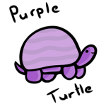 PurplTurtl