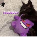 $T1CKY
