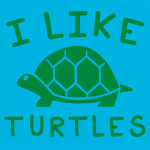 Turtle group thing yeah