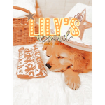 • Lil’s Apparel •