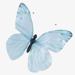 Ƹ̵̡Ӝ̵̨̄Ʒ