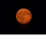 Fan FR Blood Moon Tycoon