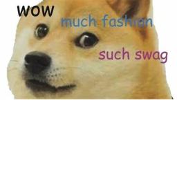 doge cult