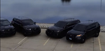 Florida County Special Response Unit