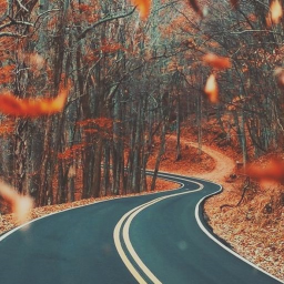 🍂