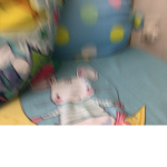 the ratty rat rat