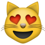 2016 Cats