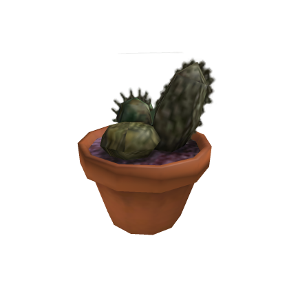 Cactus