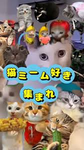 ネコミームグループ
