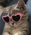 ᴍɪᴀs ########