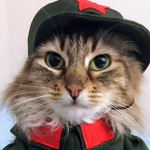 People's Liberation Army 1954