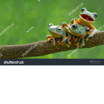 testing12345678910
