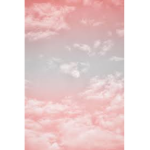 ItsCharls