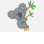 koala kingdom group