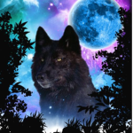 wolf_gang studios