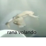 Hola este es el grupo de mis amigos