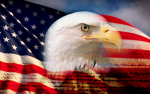 United States of Silliness