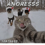 Anoresss