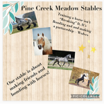 || Pine Creek Meadow Stables ||