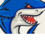 Sonic shark group
