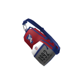 Ralph Lauren Stadium Crossbody