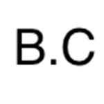 B.C (Builders club)