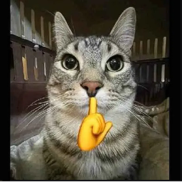 Mewing Cat Game!