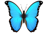 Butterfly Fam
